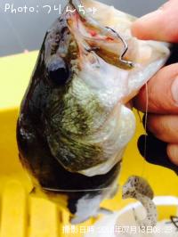 ¥Ö¥é¥Ã¥¯¥Ð¥¹