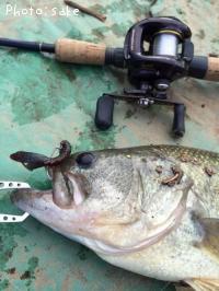 ¥Ö¥é¥Ã¥¯¥Ð¥¹