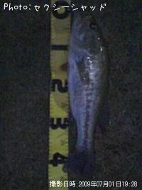 ¥Ö¥é¥Ã¥¯¥Ð¥¹