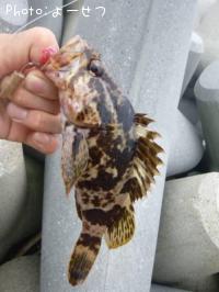 ¥¿¥±¥Î¥³¥á¥Ð¥ë