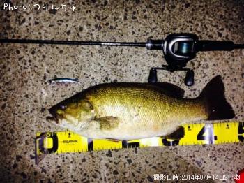 ���⡼��ޥ����Х�