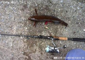 �����ʥ�