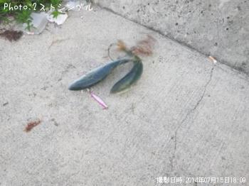 �����å�