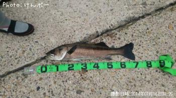 �����Х�