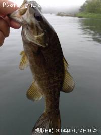 ���⡼��ޥ����Х�