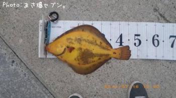 �ޥĥ��塞�쥤