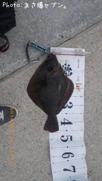 �ޥĥ��塞�쥤