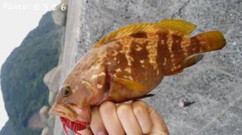 �����ϥ�