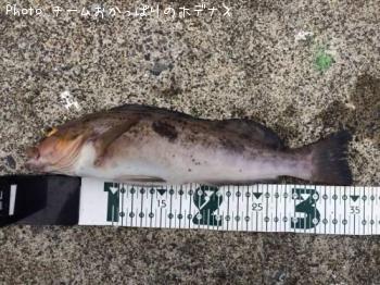 �����ʥ�