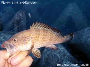 �������ϥ�