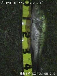 �֥�å��Х�