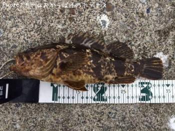 �����Υ���Х�