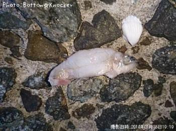 �������ϥ�