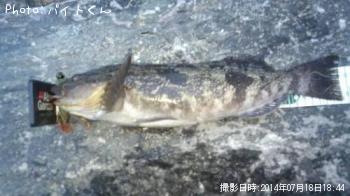 �����ʥ�