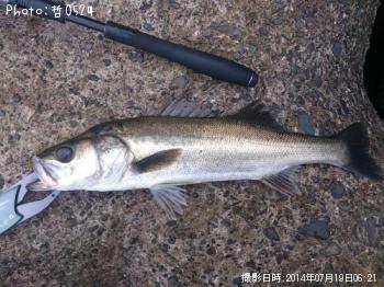 �����Х�