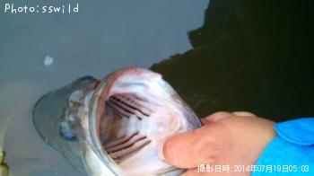 �֥�å��Х�