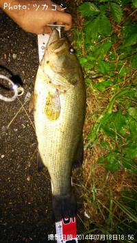 ¥Ö¥é¥Ã¥¯¥Ð¥¹