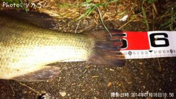 ¥Ö¥é¥Ã¥¯¥Ð¥¹