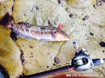 �����ʥ�