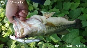 �֥�å��Х�