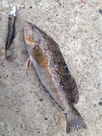 �����ʥ�