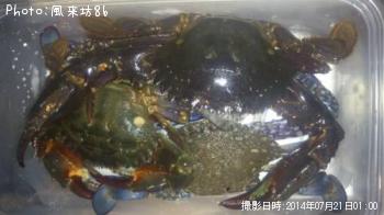 �������ˡ�������󥬥���