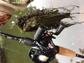 �֥�å��Х�