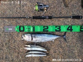 ¥½¡¼¥À¥«¥Ä¥ª