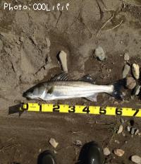 �����Х�