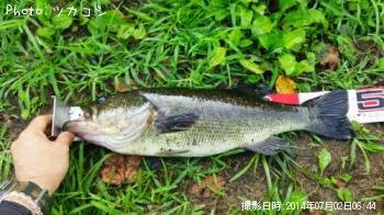 �֥�å��Х�