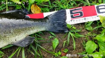 �֥�å��Х�