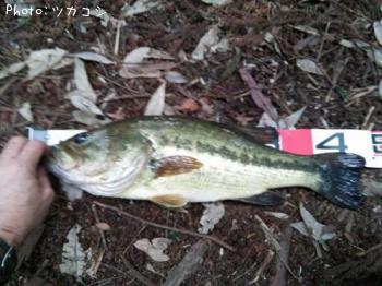 �֥�å��Х�