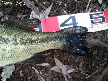 �֥�å��Х�