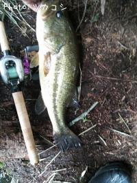 �֥�å��Х�