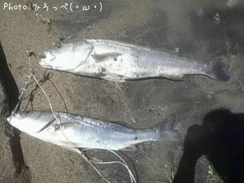 �����Х�