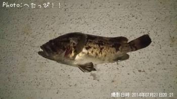 �٥å�������