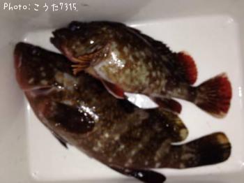 �����ϥ�