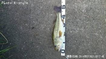 �֥�å��Х�