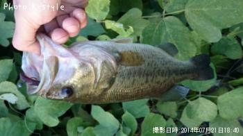 �֥�å��Х�