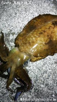 �����ꥤ��