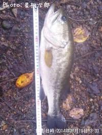 �֥�å��Х�