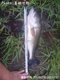 �֥�å��Х�