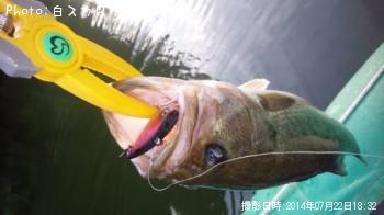 �顼���ޥ����Х�