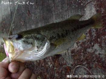 �֥�å��Х�