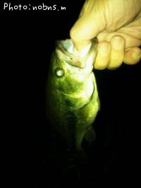 ¥Ö¥é¥Ã¥¯¥Ð¥¹