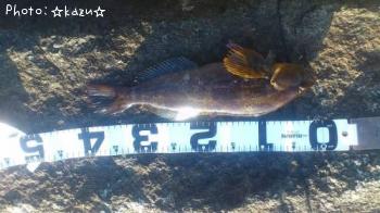 �����ʥ�