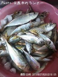 �������������С������ޥ�