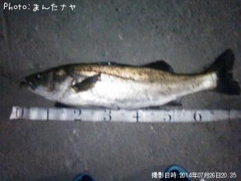 �����Х�