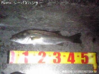 �����Х�