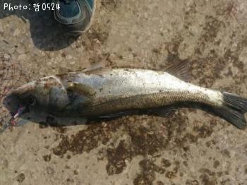 �����Х�